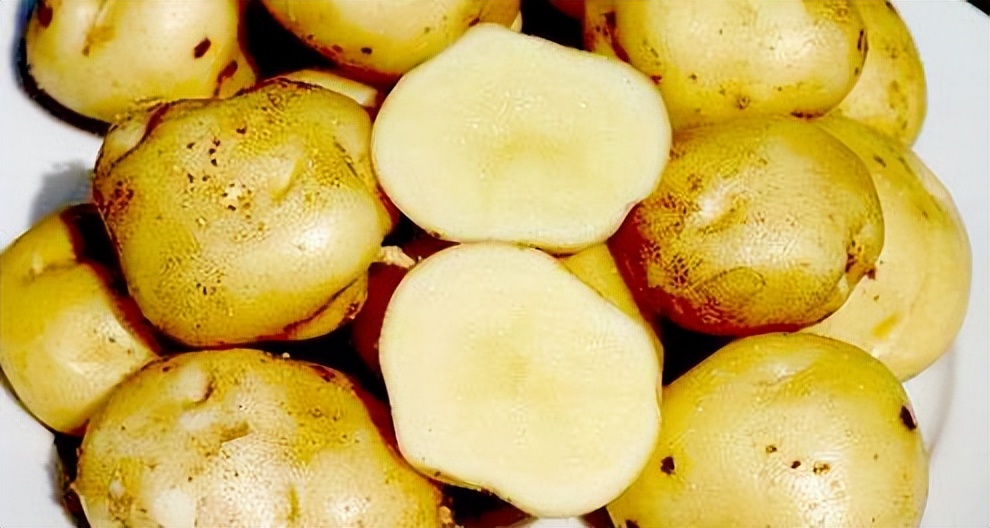 世界十大最贵食物排行,世界上最贵的食物十大排行榜