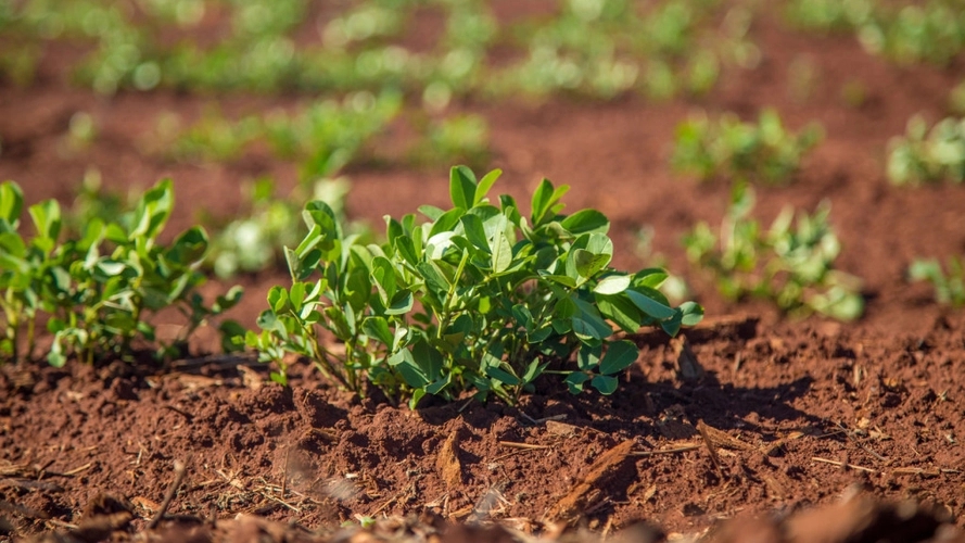 情劫是命运安排还是自己造成的,情劫彻底放下财运才会来到
