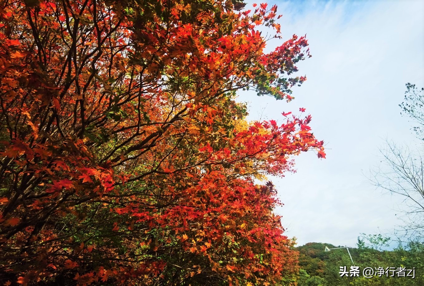 图们江口岸游记,从图们市到牡丹江自驾游