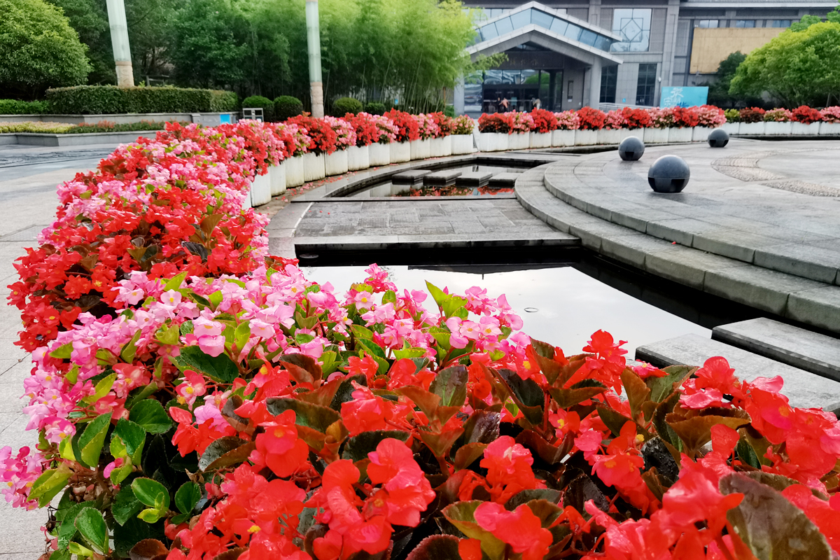 花盆里种不出参天大树——东吴第一任太子孙登成长记