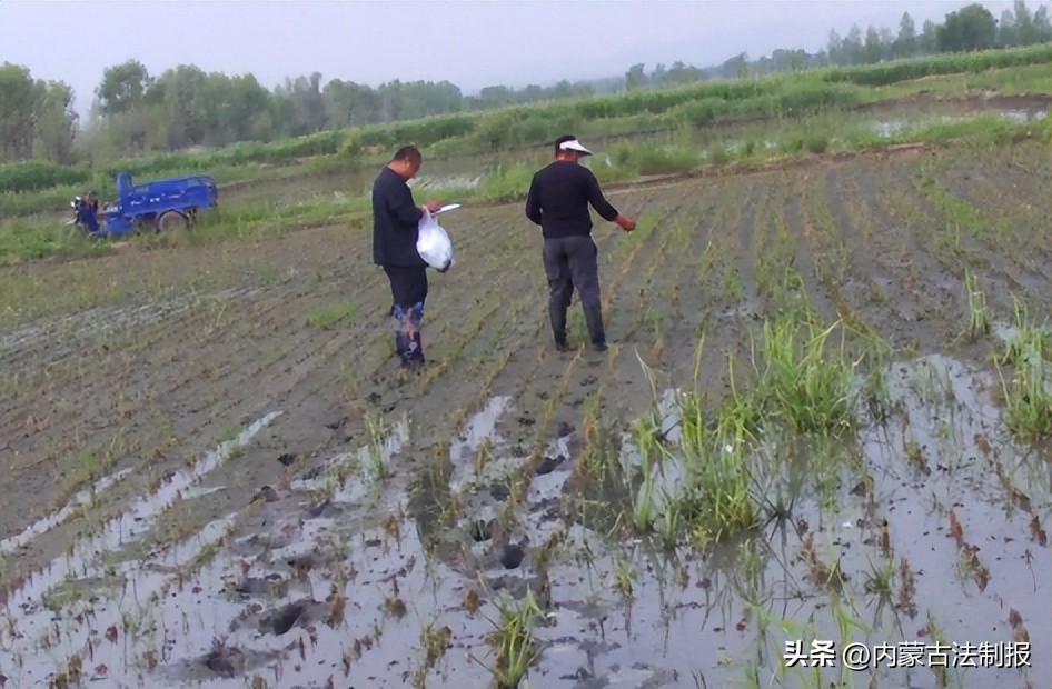 暴雨中完成证据公证维护群众合法权益——兴安盟科右中旗公证处“四项举措”同步发力助推公证服务提质增效