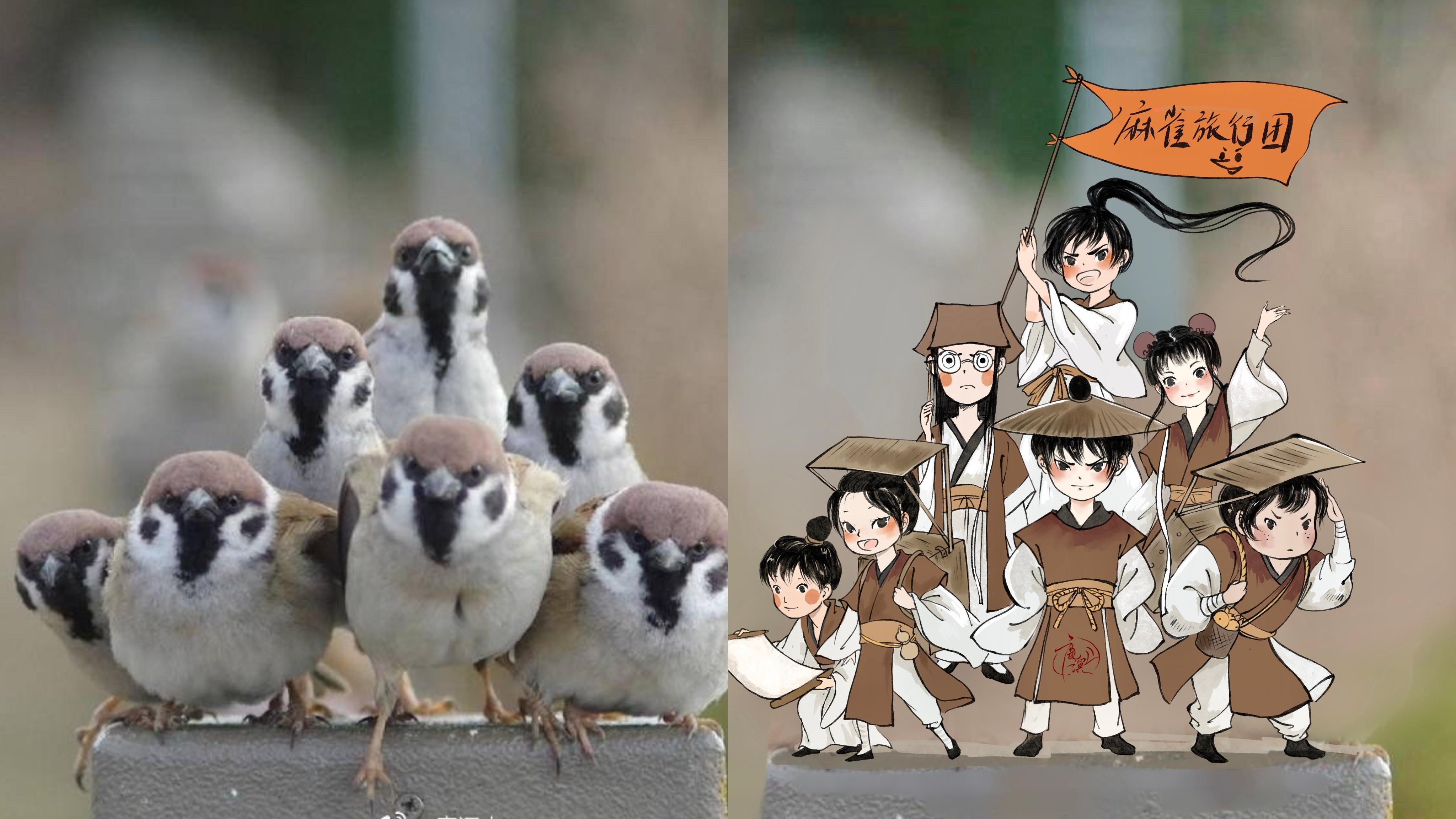 贵州女孩学医,贵阳女孩子学医