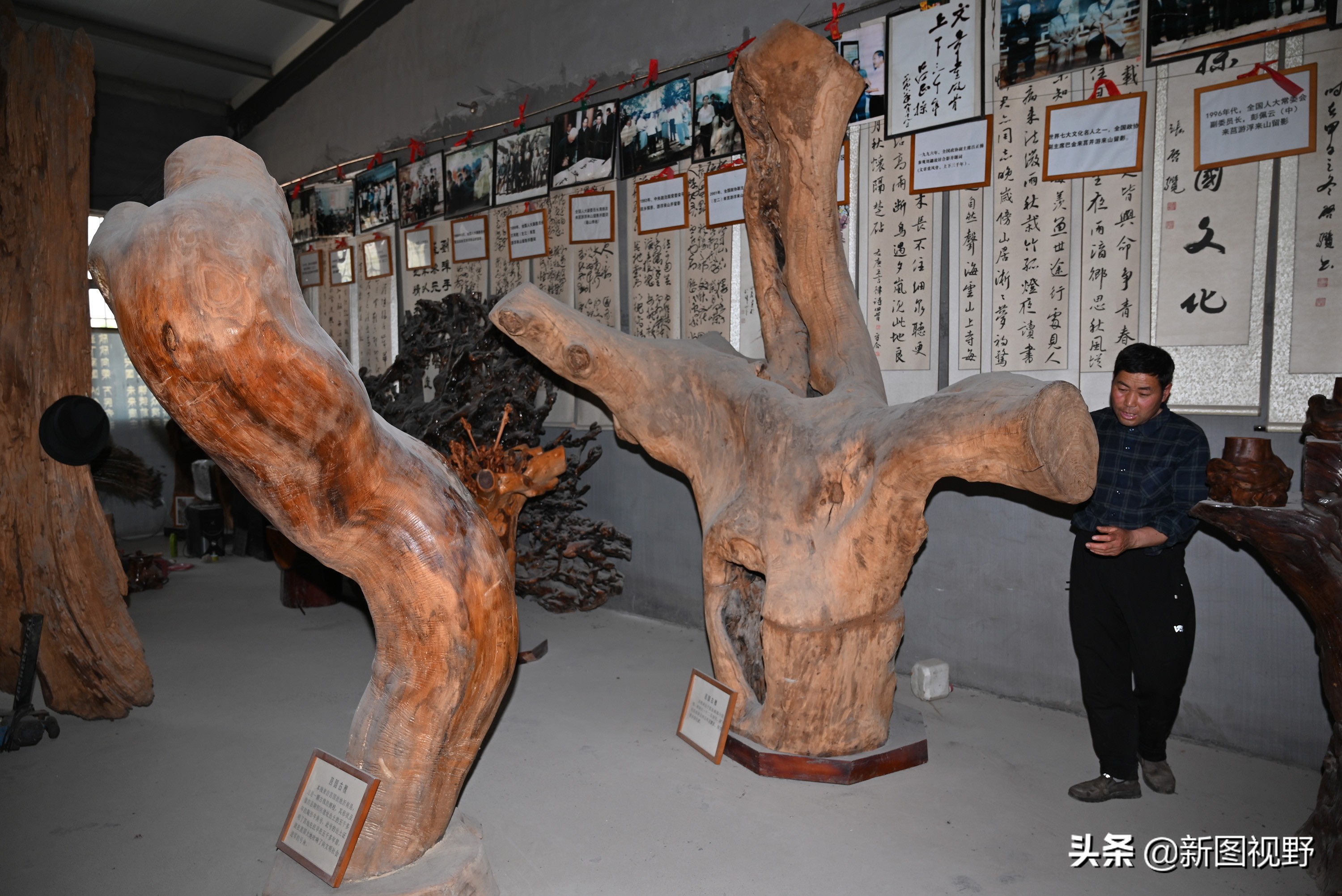 54岁农村大哥，把枯木当宝贝，13年来只收不卖，看他做啥生意