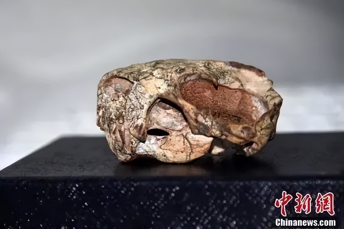 你好庆阳,庆阳新闻2020.3.15