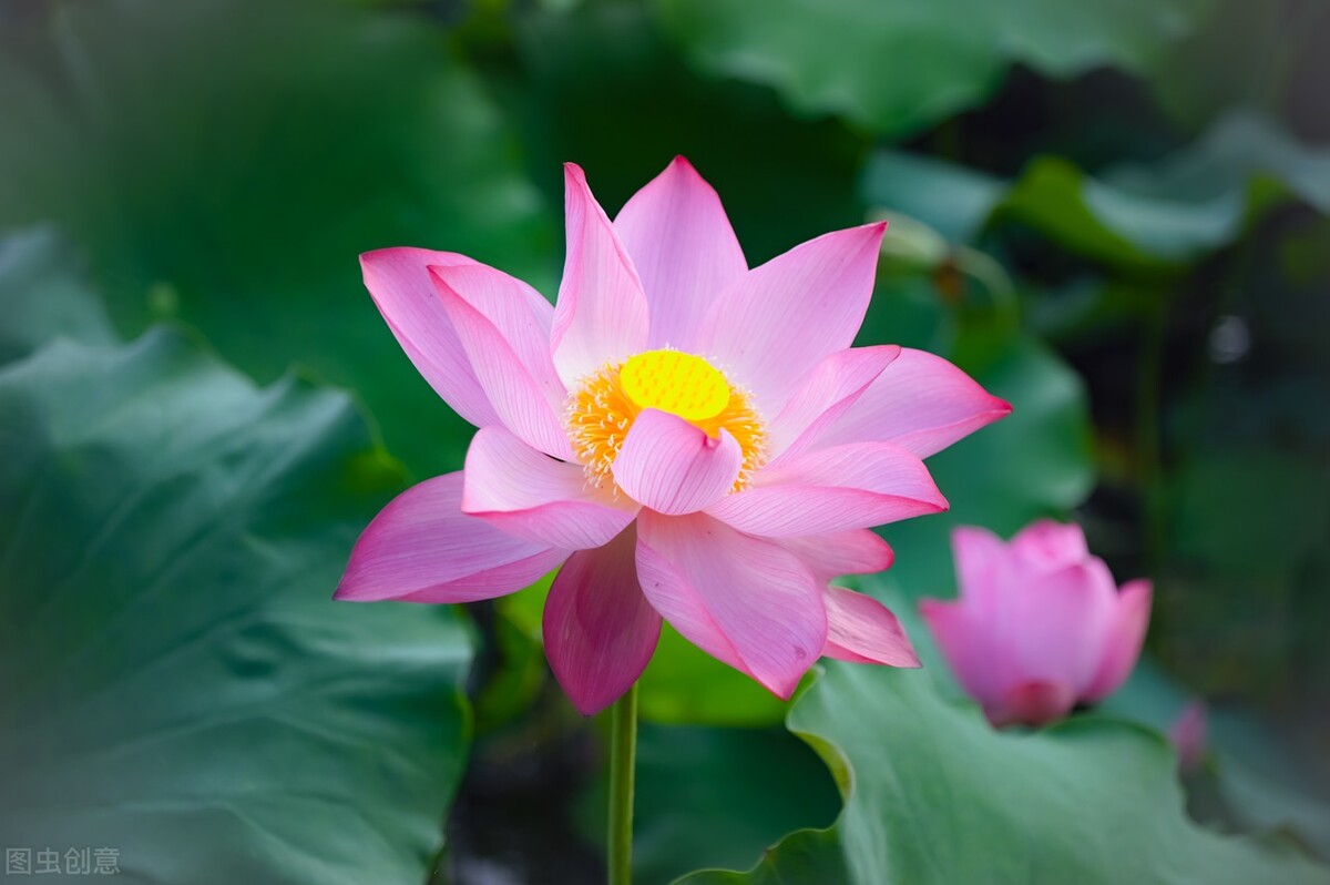 心灵加油站爱自己的n种方式,作为一个妈妈应该具备的心理准备