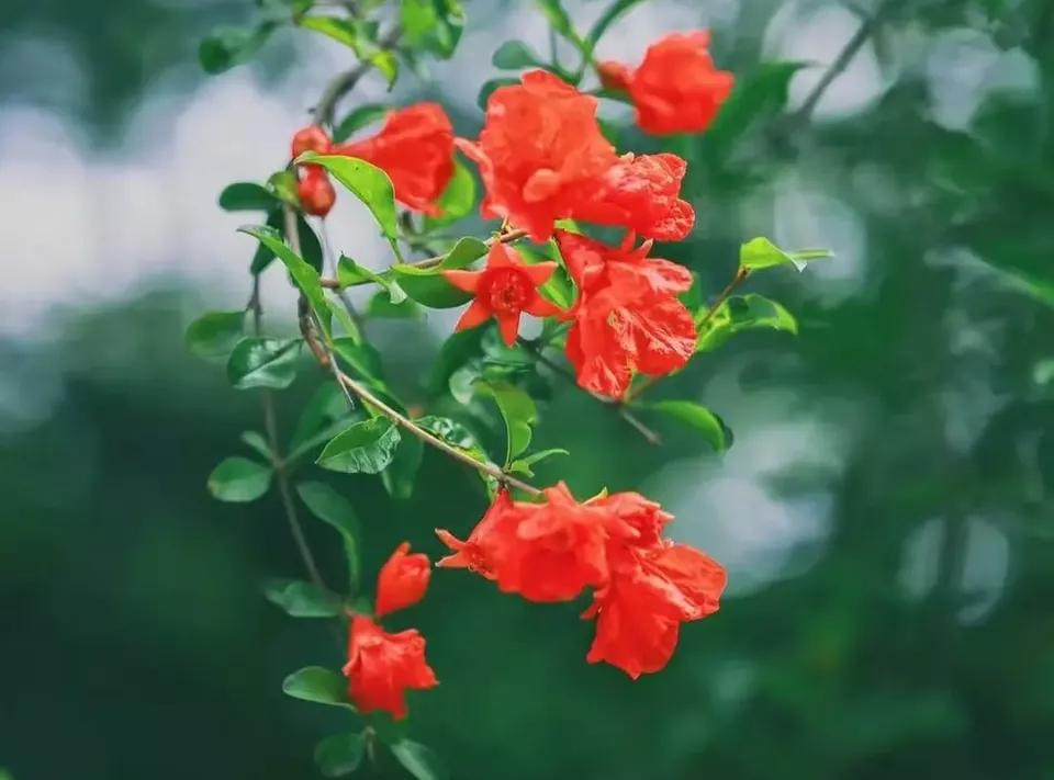 看了2022年平均工资，才知道最吃香的就业专业是哪些