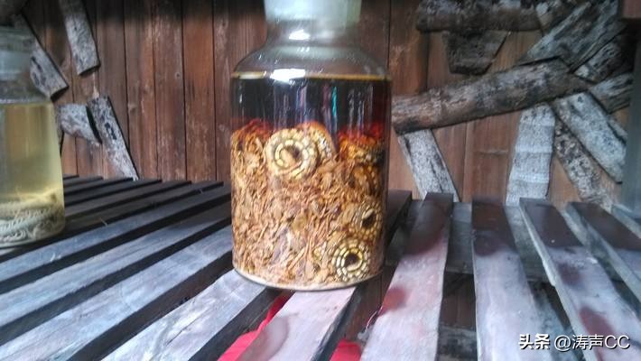 湘西蛊术的情蛊是真的吗,湘西蛊术之情蛊篇解密