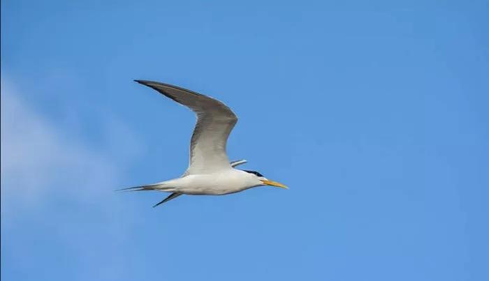 哪一本是最好的练习册,10本练习册推荐