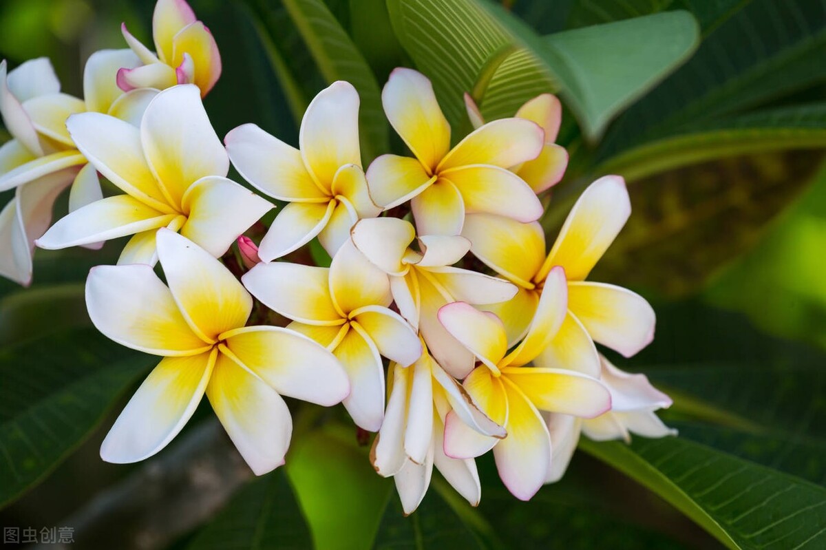 初中生物：五大学习方法和六大万能解题方法，轻松考高分