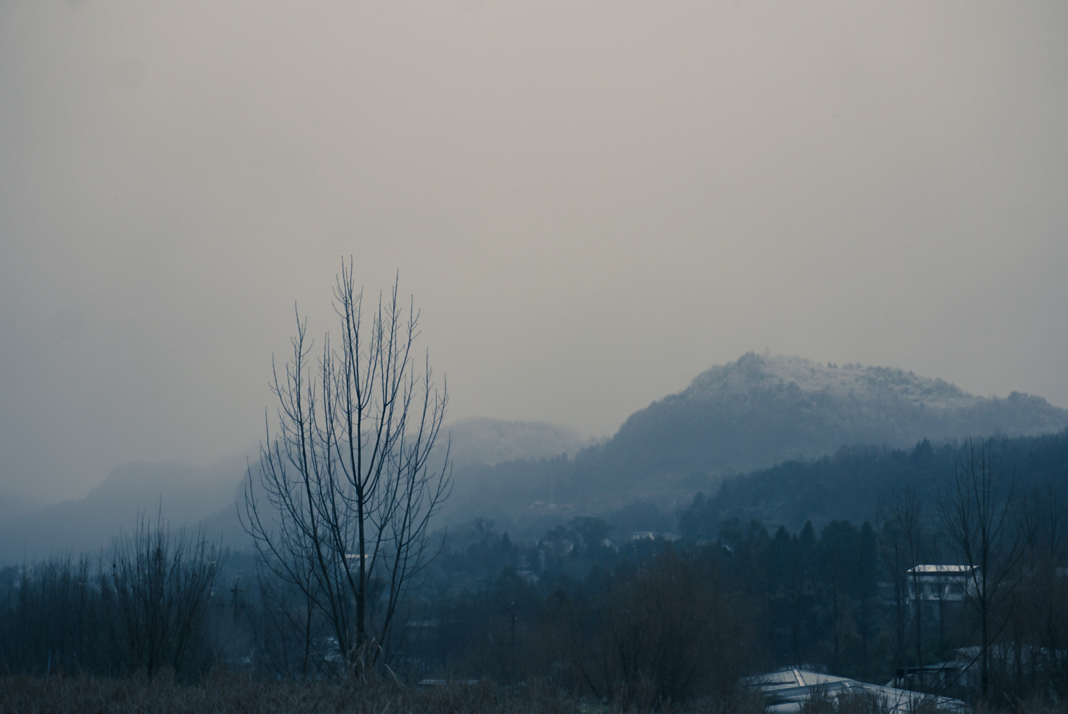 微单：SONYα6000手机：XIAOMIMIX4记录我的美好时刻