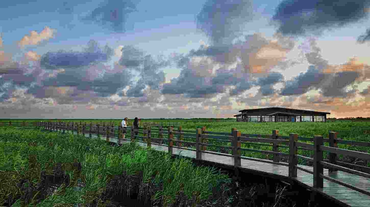 中国第三大岛崇明,我国三大岛屿崇明岛