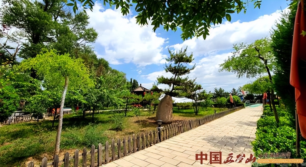 忻州金源泰生态农业发展有限公司,忻州金源泰生态园