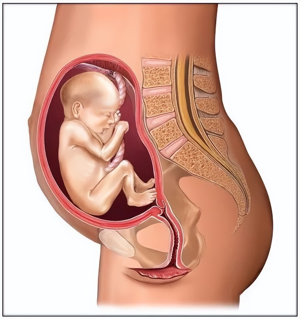 孕妈妈的身体有3种表现,孕妈妈孕早期有哪些症状