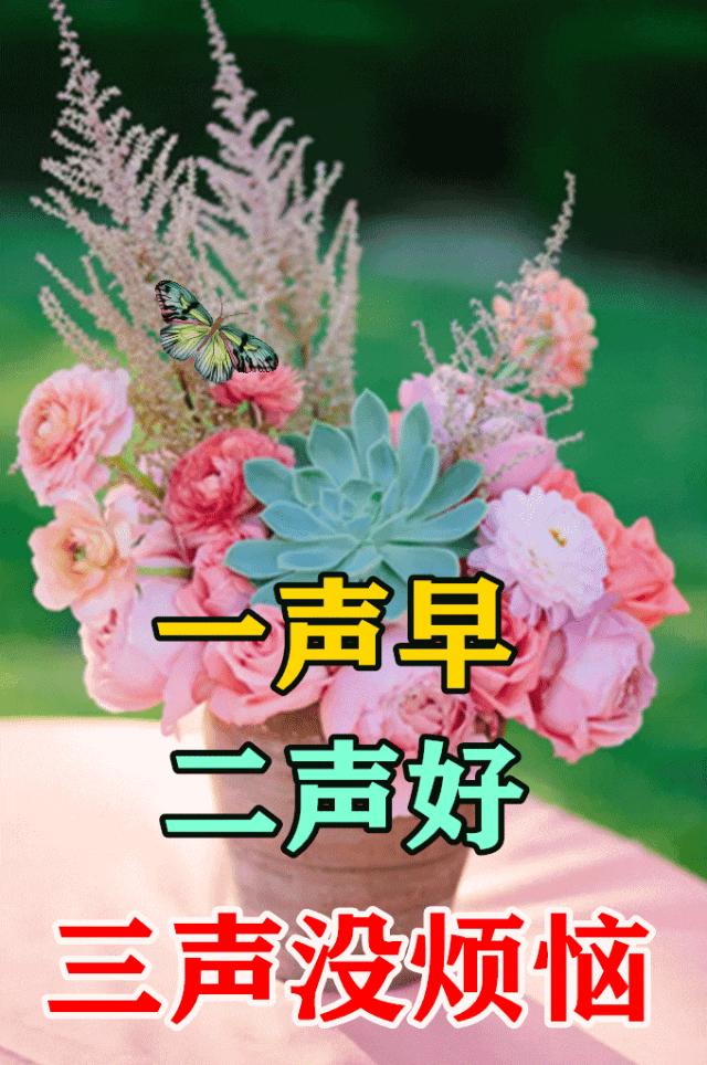 新的一周早安正能量句子图文,早安语录大全图文