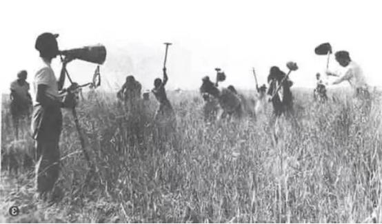 新疆伊力特酒大全,新疆伊力酒为什么在杭州卖这么火