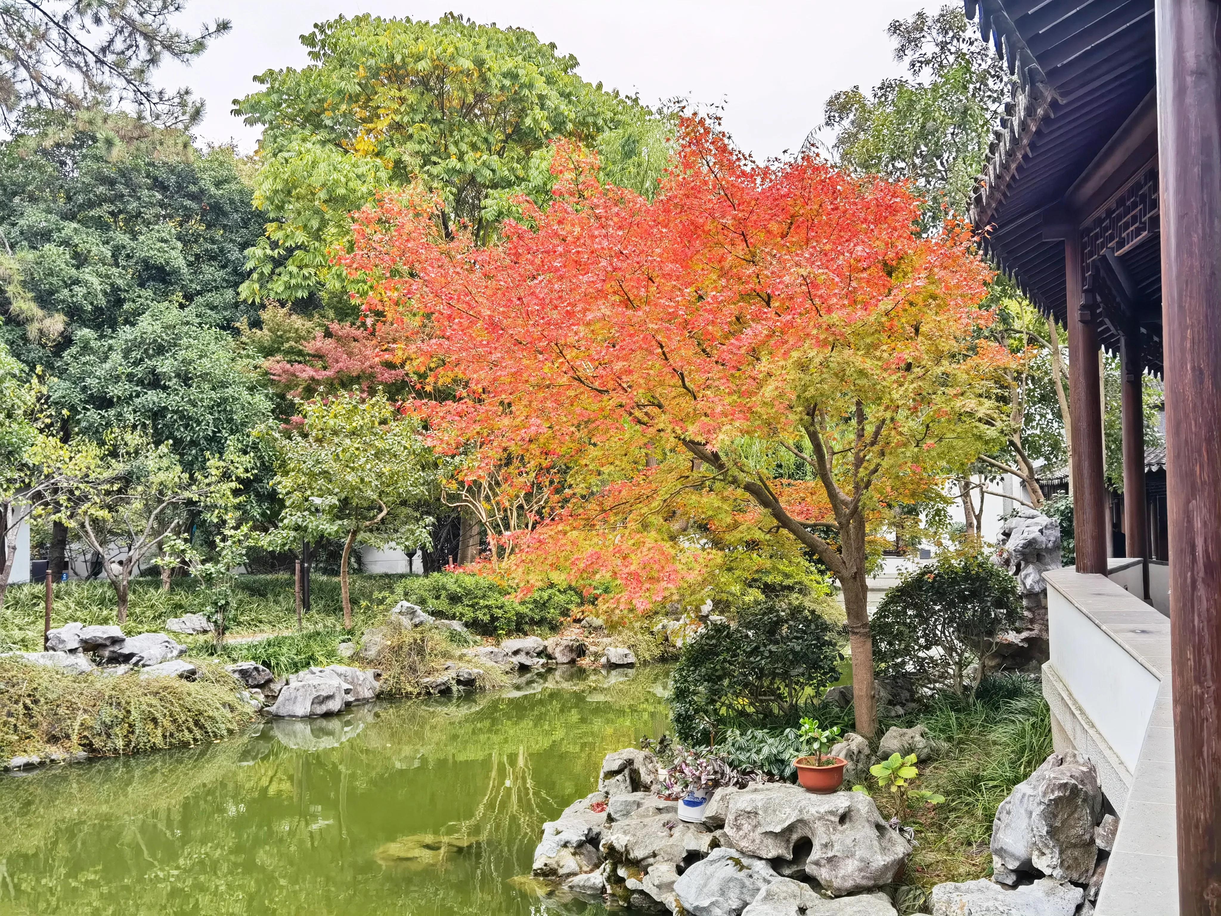 嘉定景点攻略亲子游,嘉定景区一日游