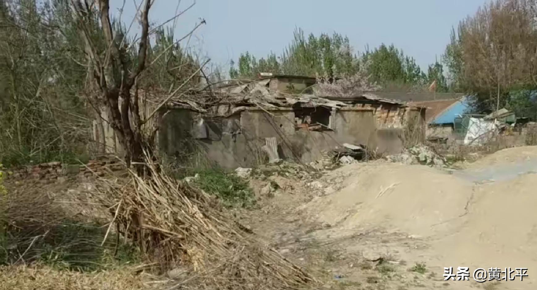 枣庄陶瓷一厂老照片,枣庄陶瓷三厂以后规划