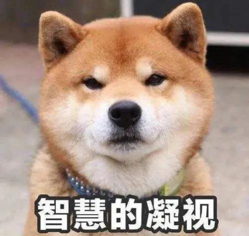 百度大数据推广是什么样的,百度大数据如何营销