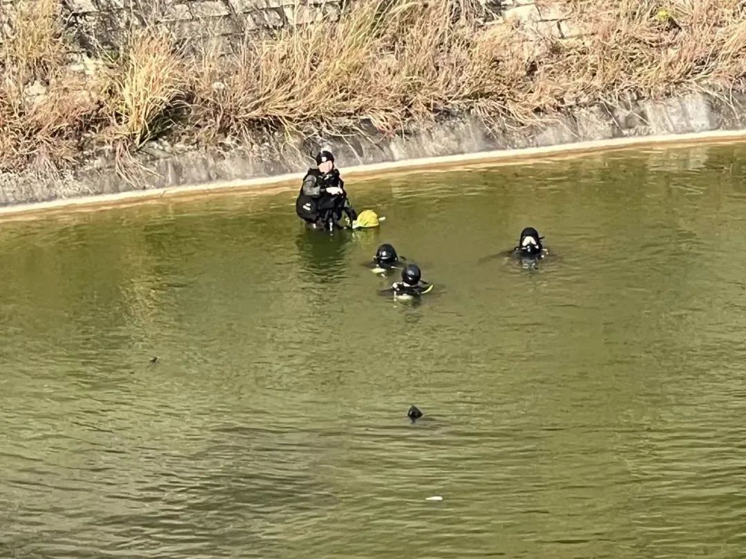 香港28岁名媛碎尸案全程,香港名媛碎尸案细节