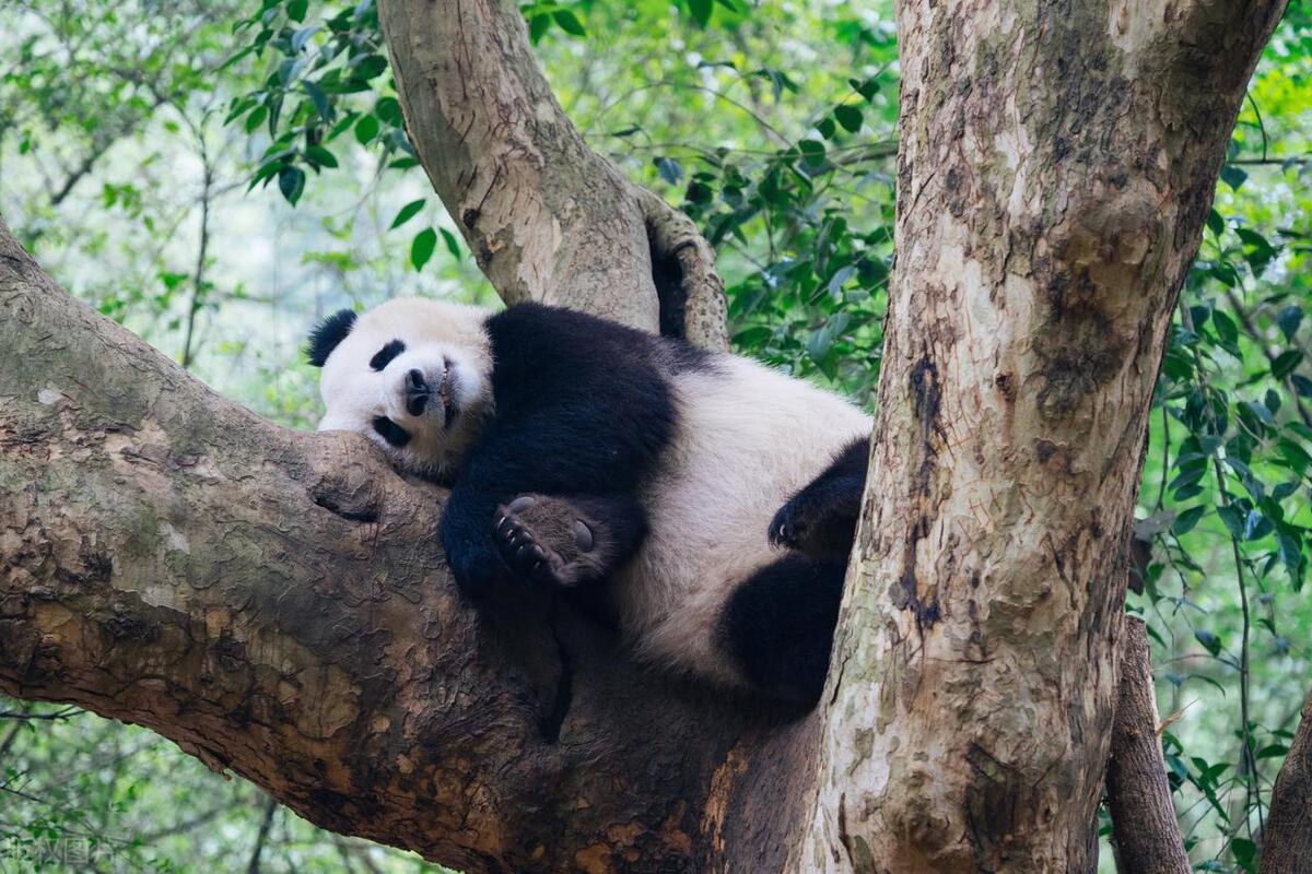 各国旅游的真实惨状,各国留学生活状态分析