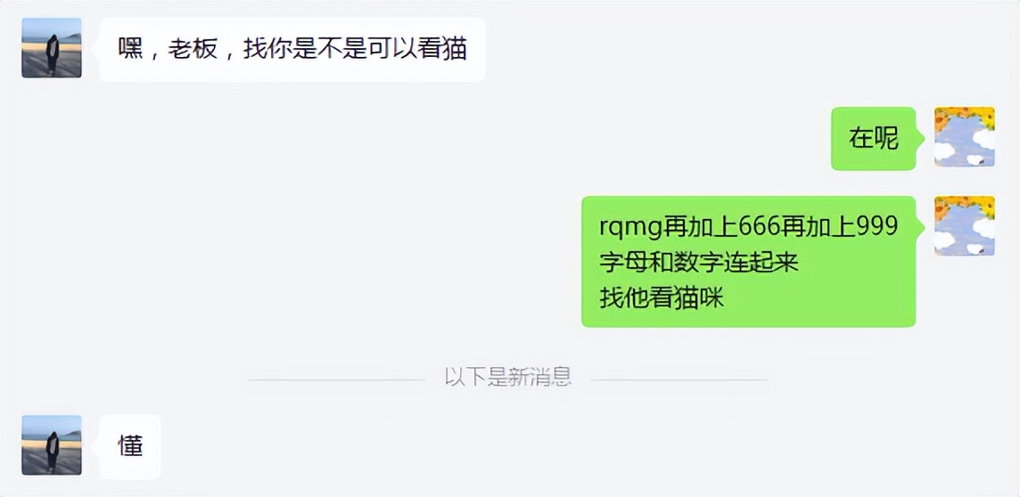 西伯利亚森林猫缺点,挪威森林猫优点和缺点