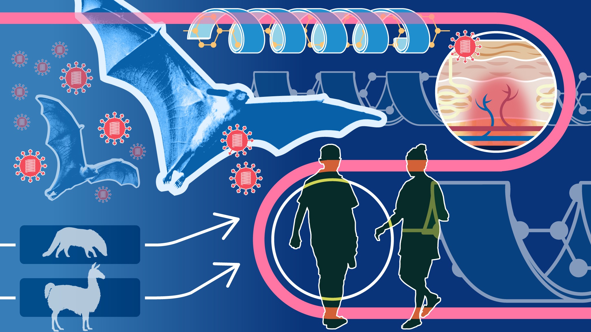 37不再是人类标准体温意味着什么,37摄氏度不再是人类正常温度