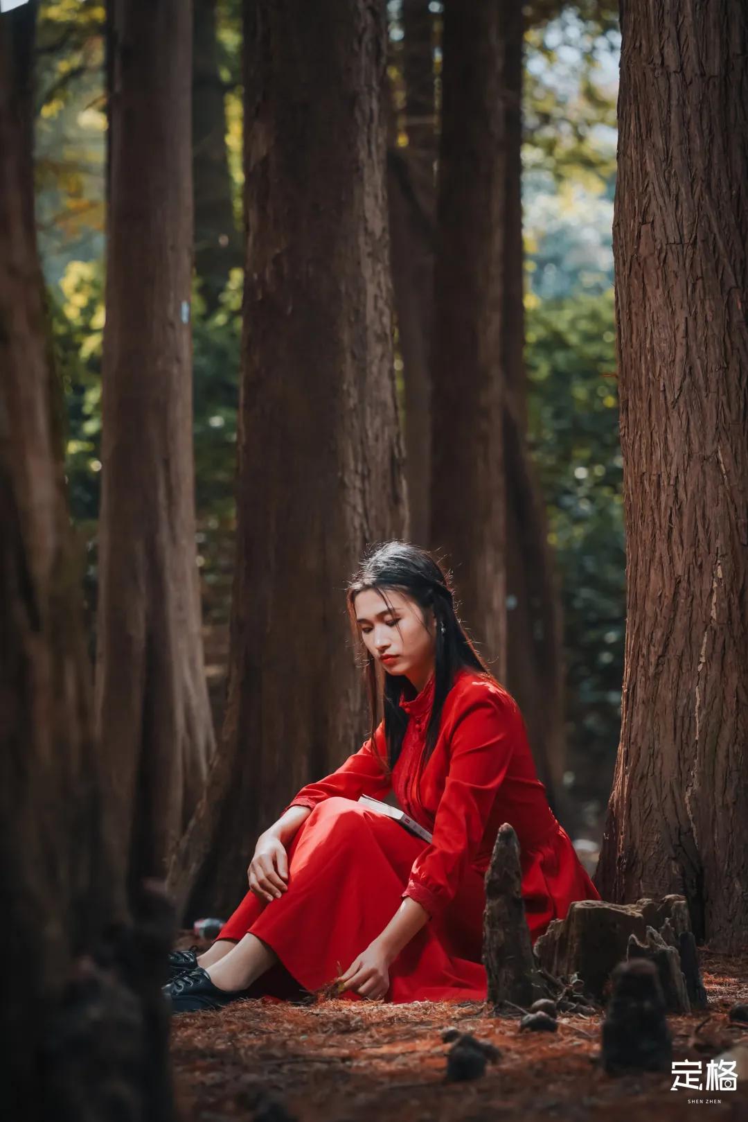 娲箹鍏洯娣卞湷,娲箹鍏洯鑽疯姳