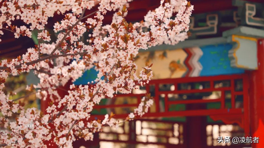 共赴春之约携手新征程,共赴春天之约携手砥砺前行