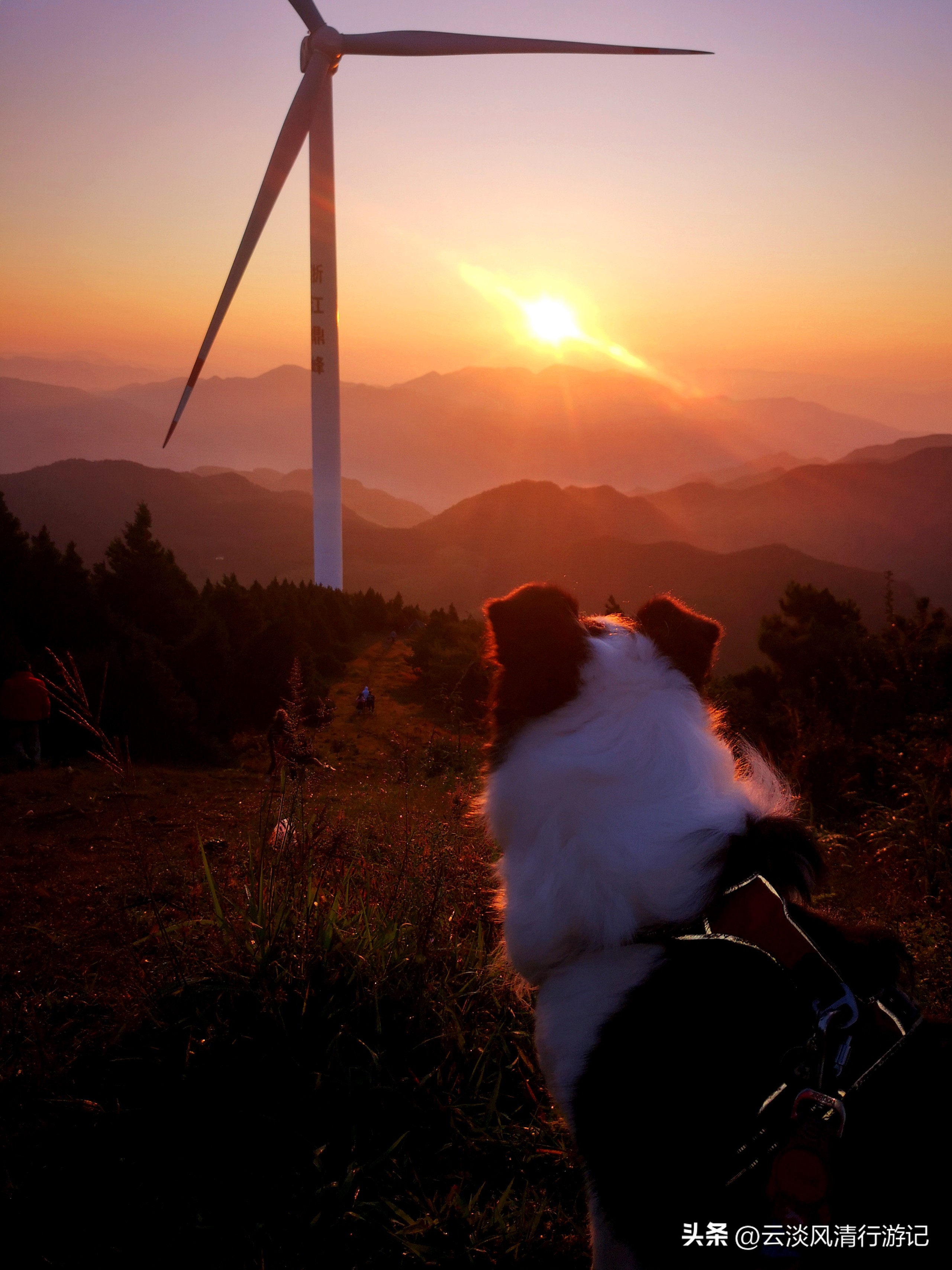 磐安青梅尖自驾游攻略,磐安青梅尖徒步