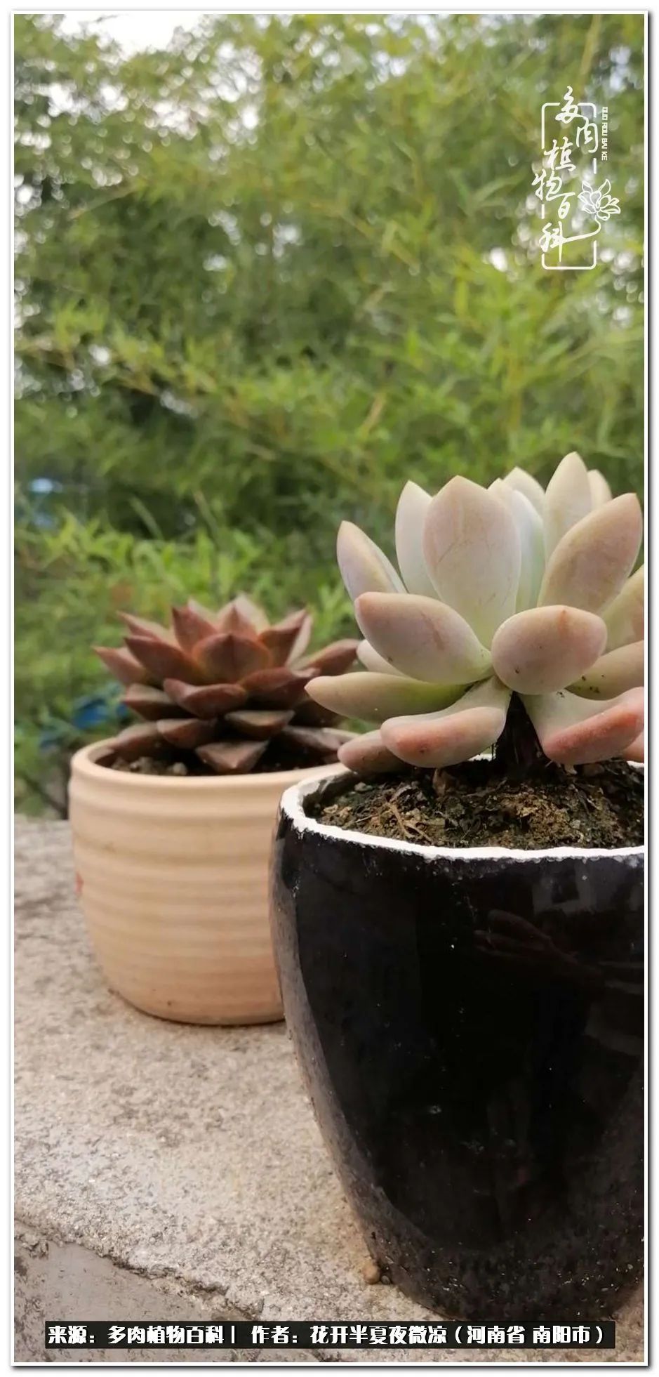 万事开头难只要坚持才有收获,万事开头难只要肯干就会有结果