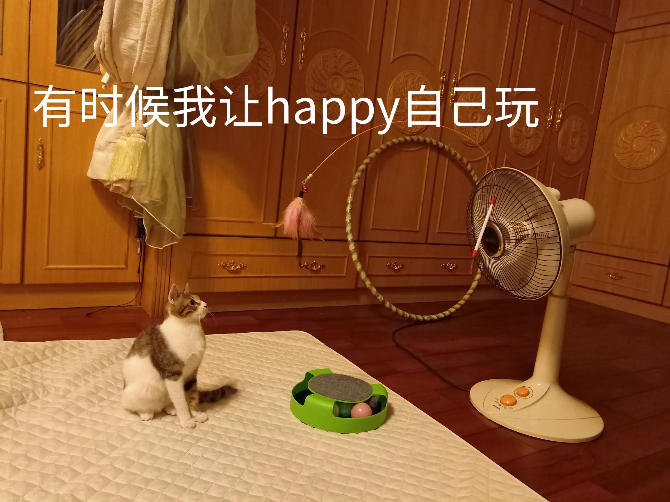 happy鎴戠殑濂冲鎻掓洸,浣爃appy鎴戜篃happy