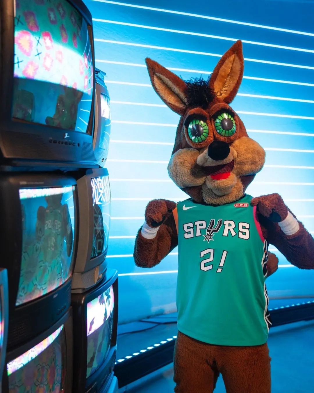 马刺今夏,马刺活动