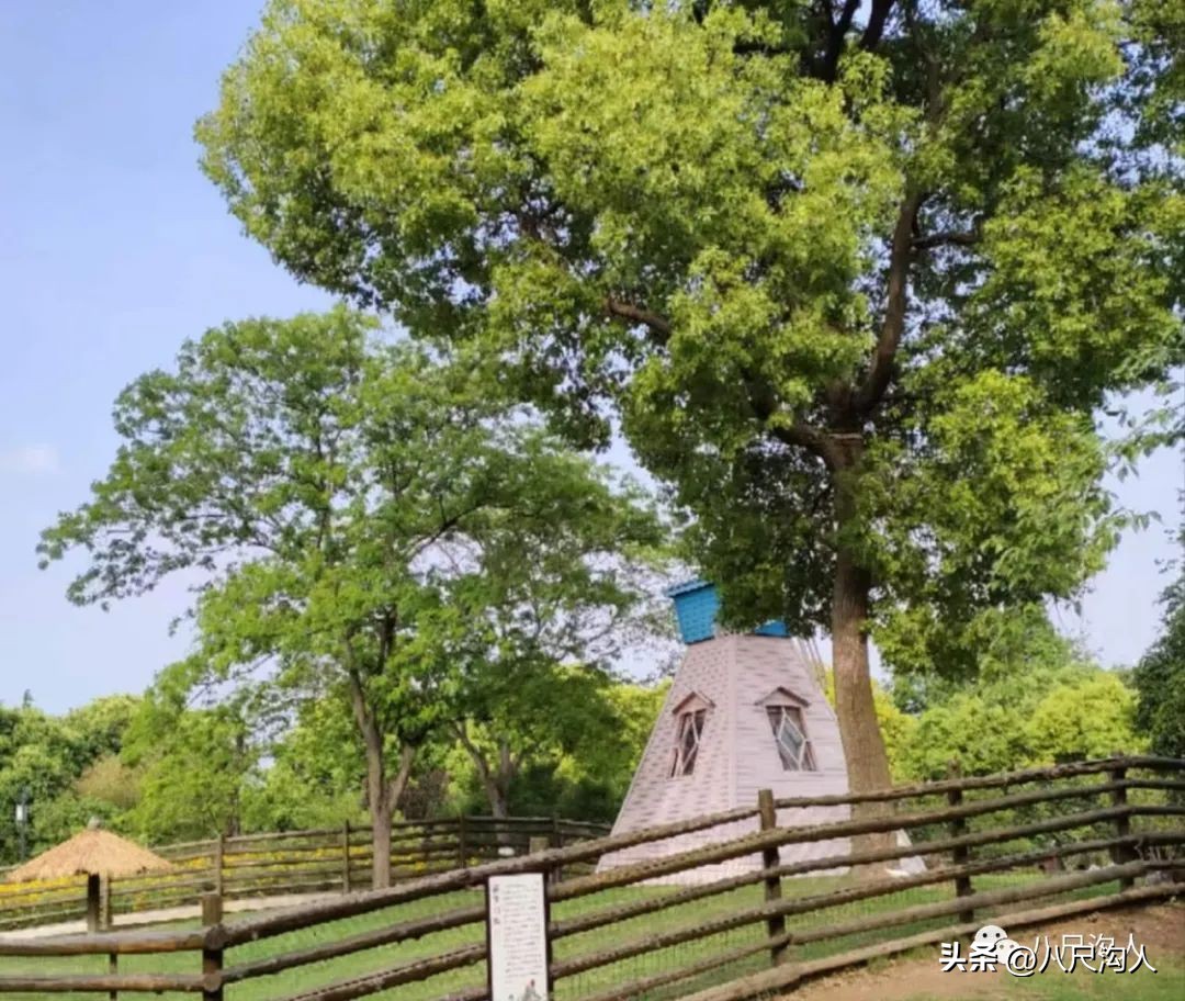 参战老兵向所有的军嫂致敬,所有的中国军人向革命老战士致敬