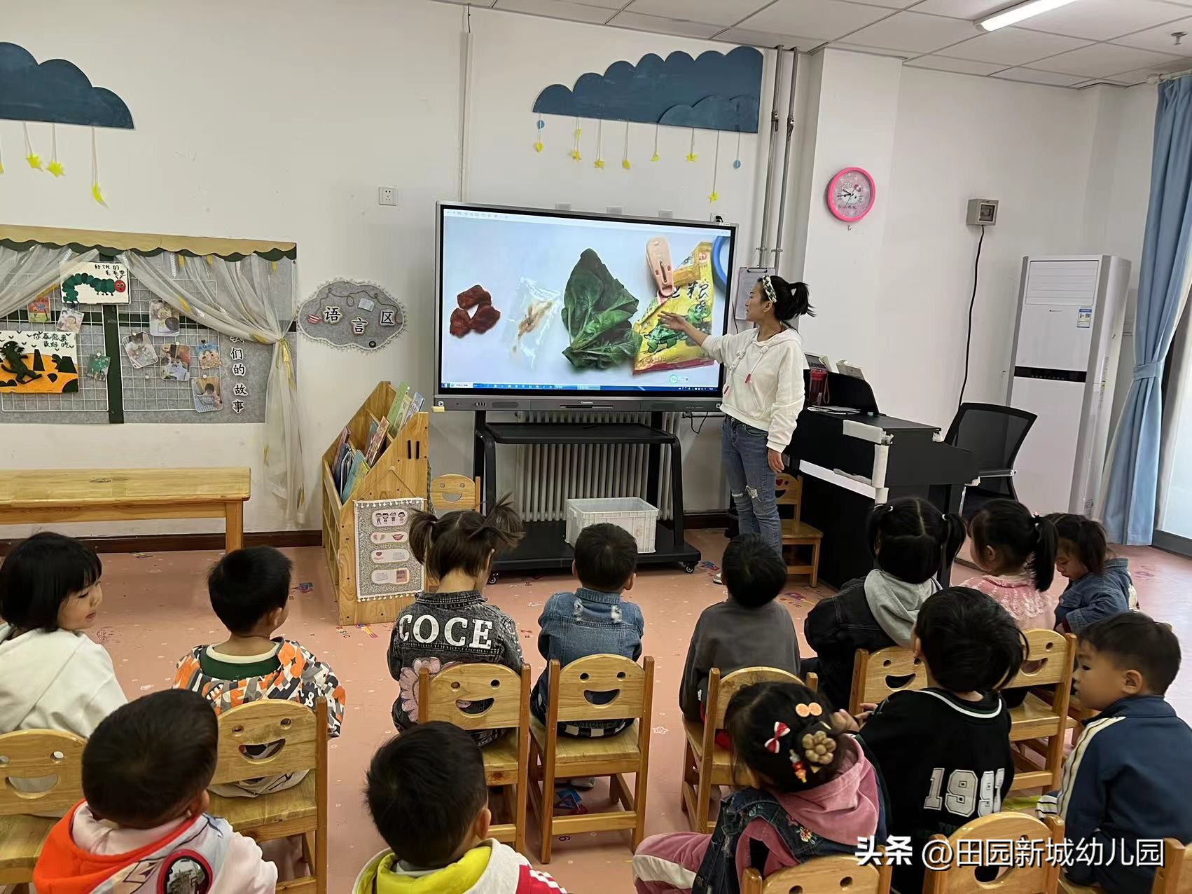 课程故事乌龟大班,嗨小鸭课程故事