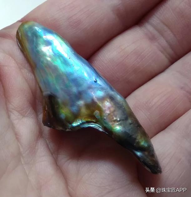 烧烤鲍鱼成品,鲍鱼里面也有珍珠