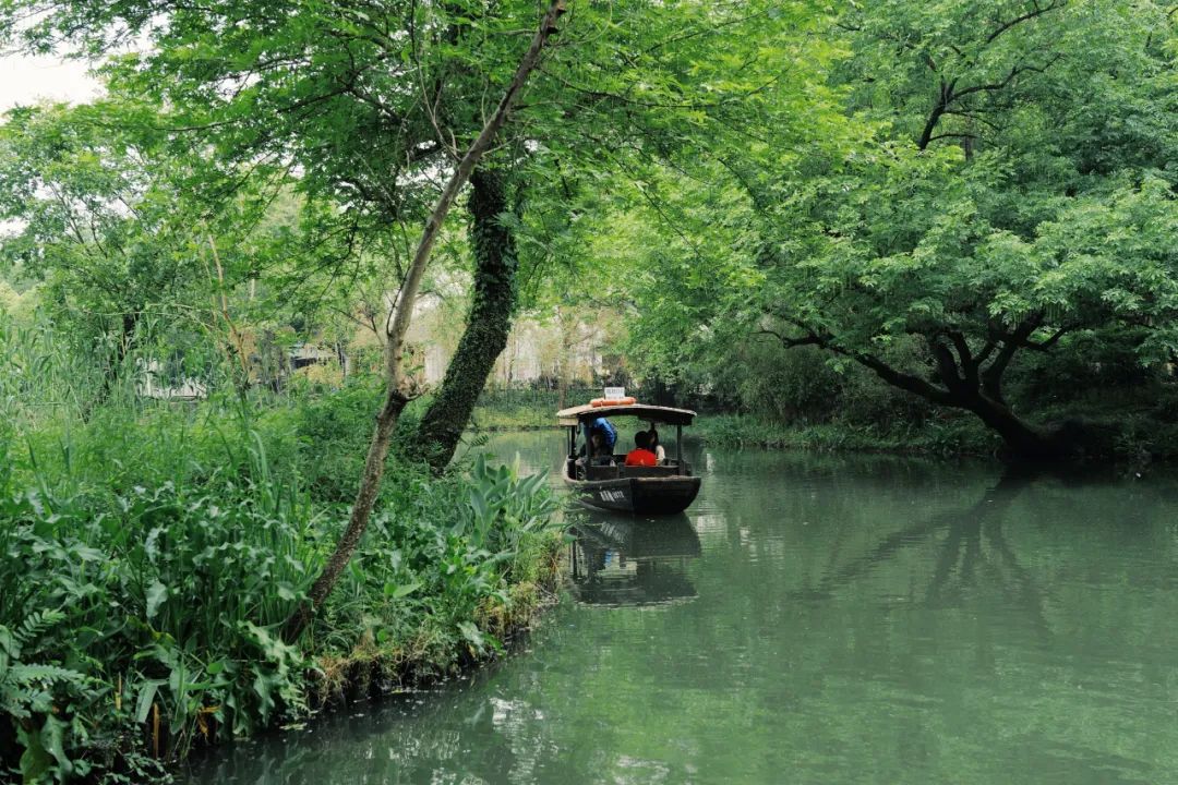 春天的潺潺溪水,春天的顶流