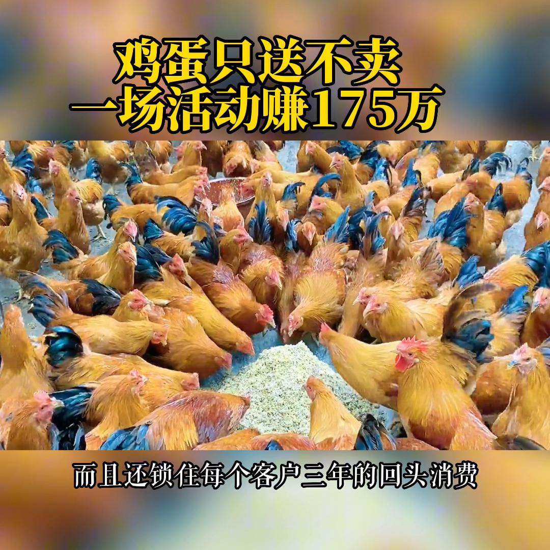 赚钱软件,赚钱小游戏