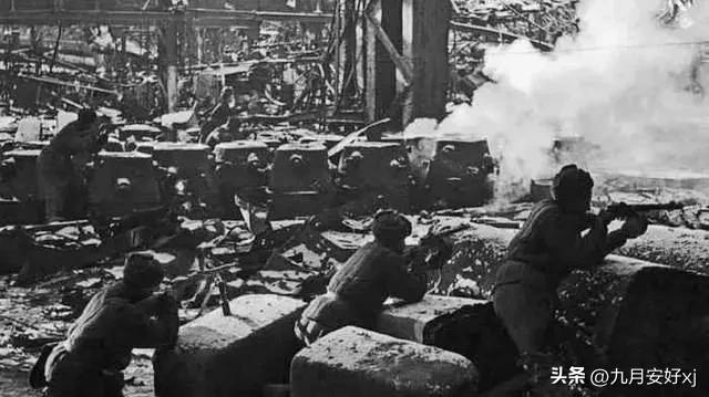 淞沪会战大溃退时的伤亡,淞沪会战溃退的德械师