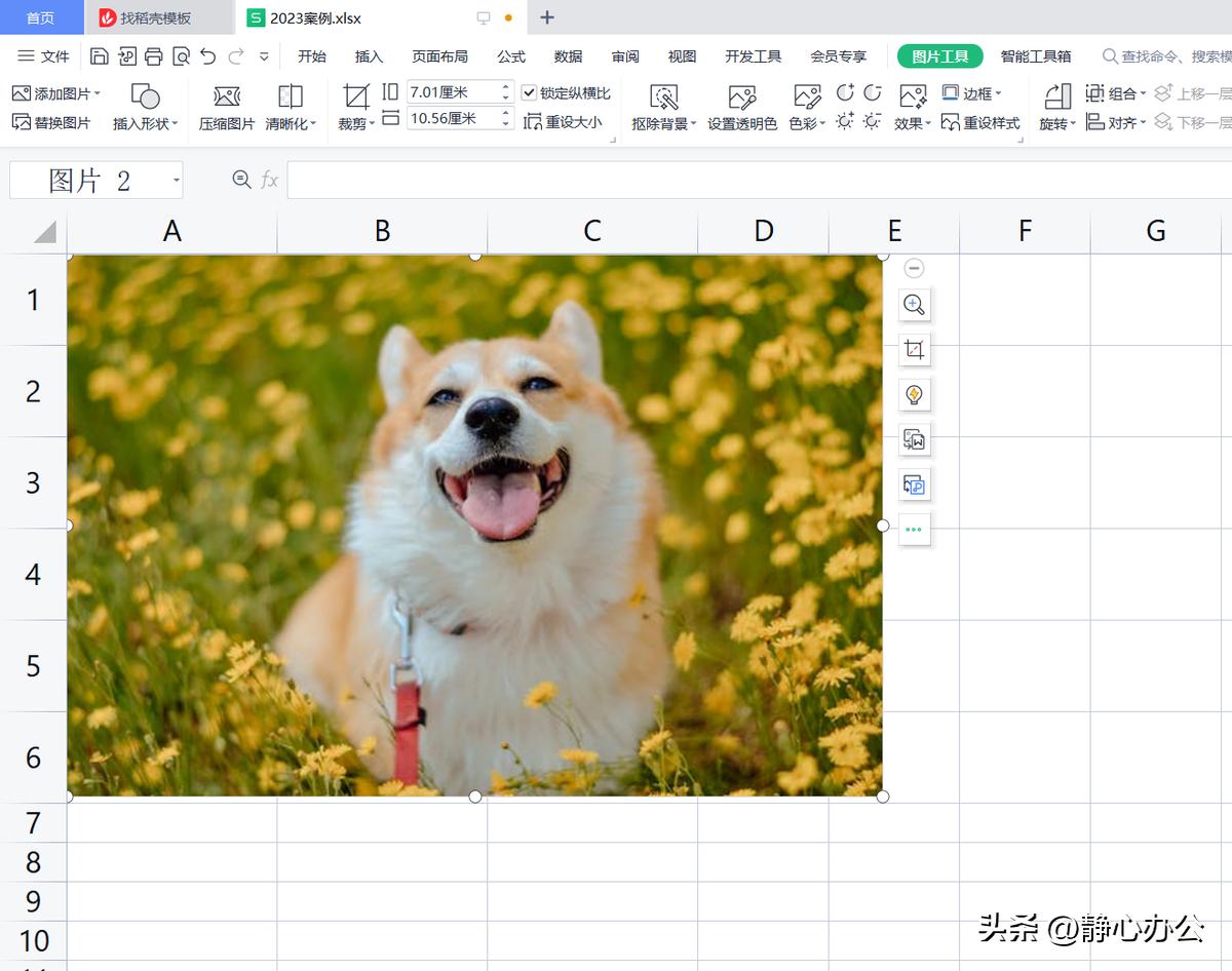 wps表格中怎样将图片嵌入单元格中,wpsexcel如何把图片嵌入单元格