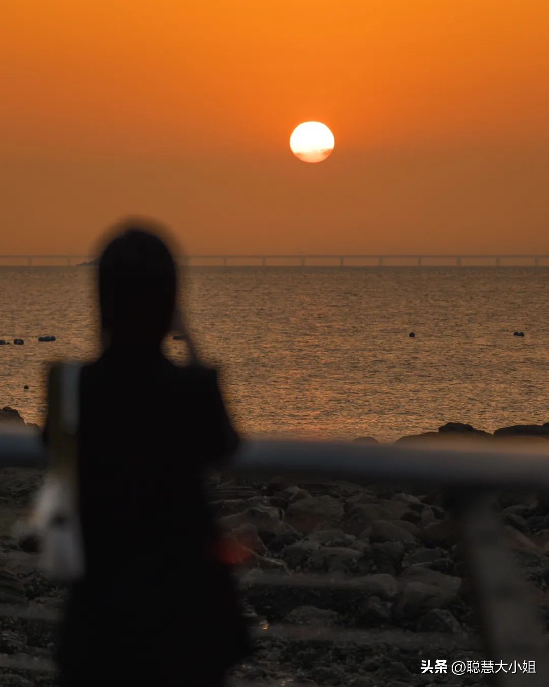 珠海百岛之城排名,广东珠海千岛之城