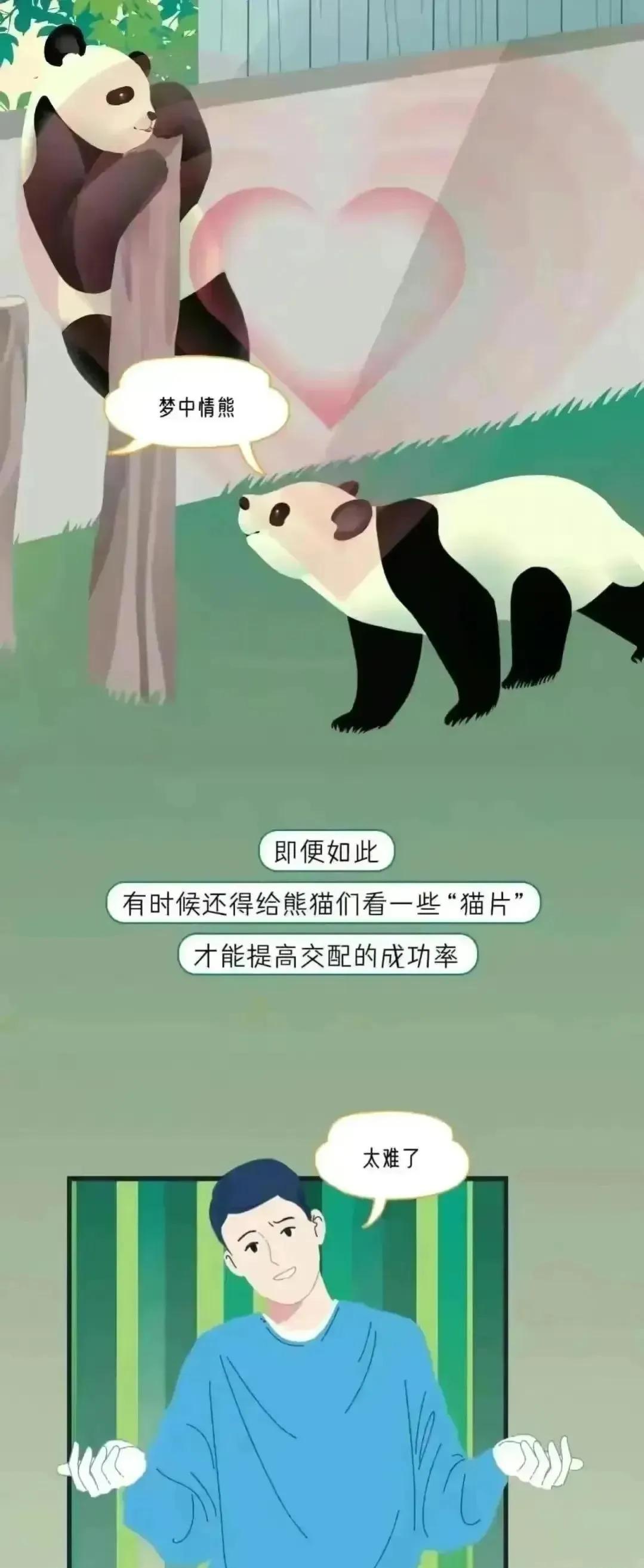 人类受孕时长是多久,人类正常受孕多久