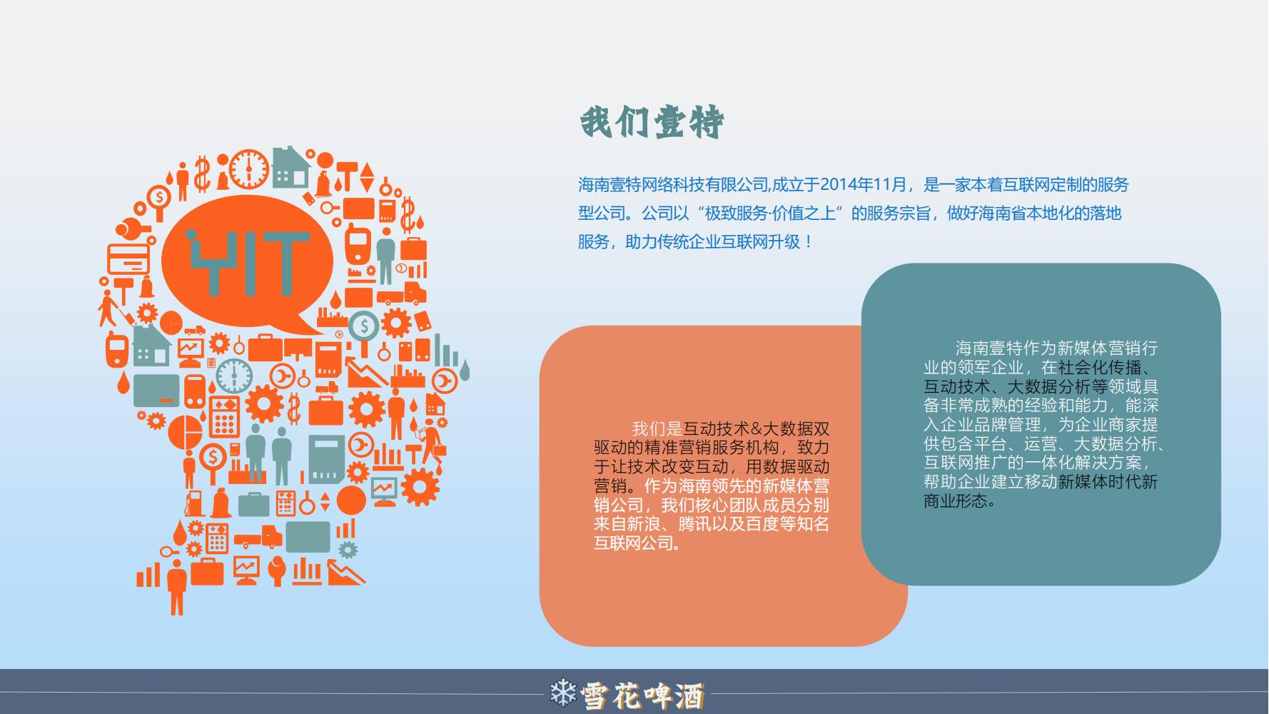 雪花啤酒品牌策划方案范文ppt,品牌啤酒的营销策划书