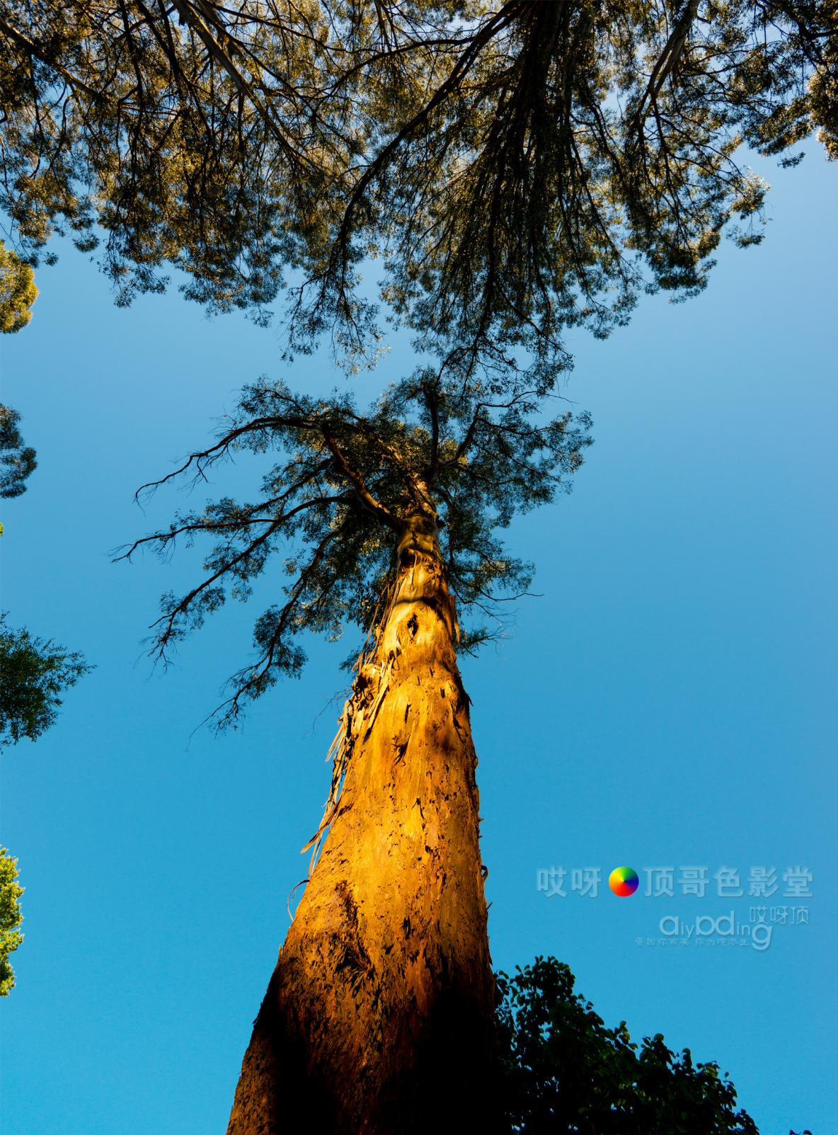 旅行家的眼神，看到不一样的人文澳洲（四之一）