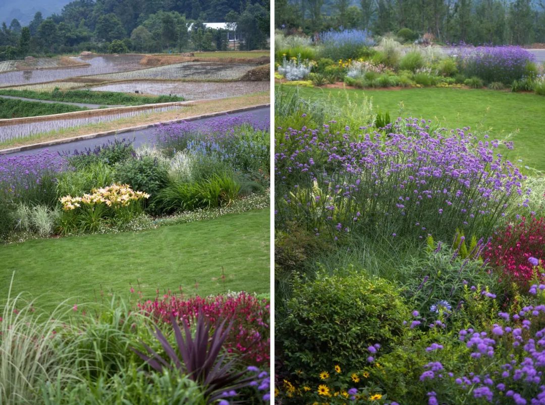 高桥小镇峨眉山,峨眉山高桥小镇在哪里