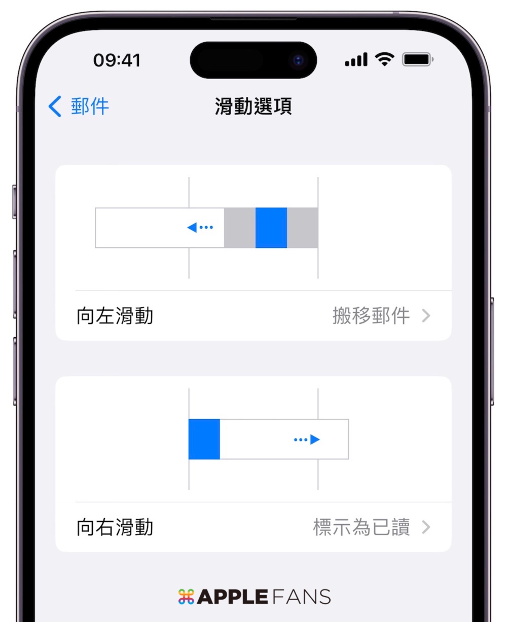 苹果mail邮件管理插件,苹果如何查看自己的隐藏电子邮件