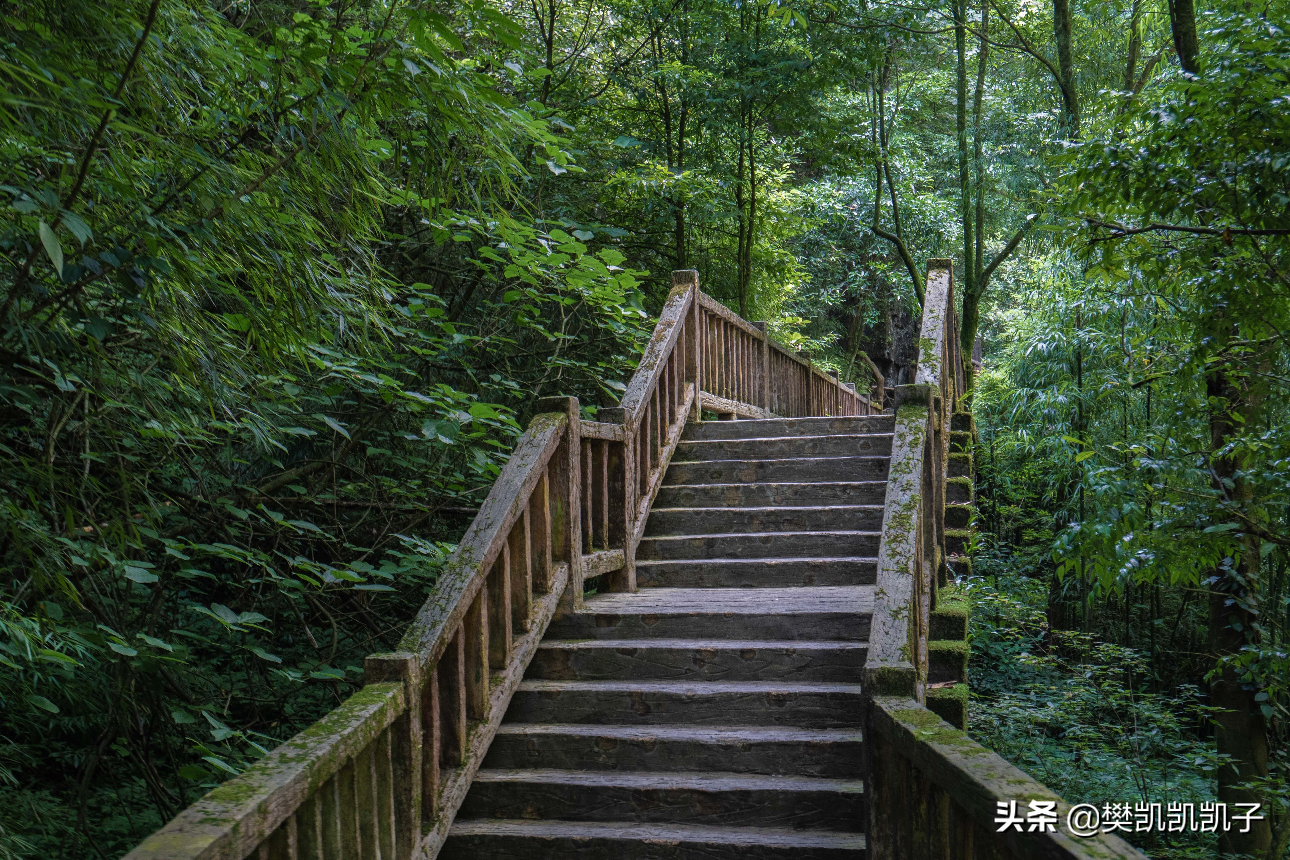 重庆露营避暑自驾7天,重庆适合露营漂流的地方