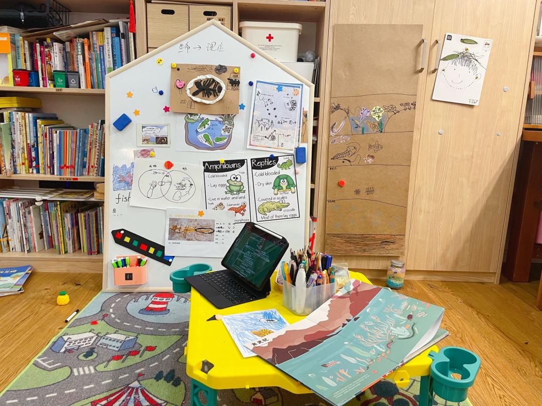 孩子经常提问我该怎么办,孩子问什么都不说怎么沟通