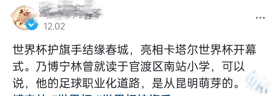 世界杯护旗手结缘春城，网友：“官渡真会给自己脸上贴金”......