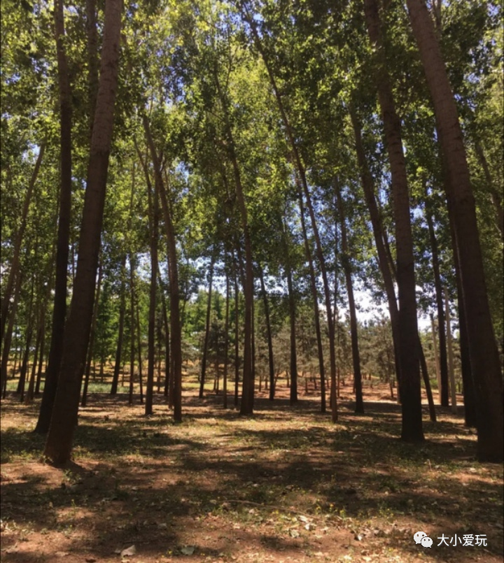 滨河公园带娃玩水,推荐一个好地方滨河公园