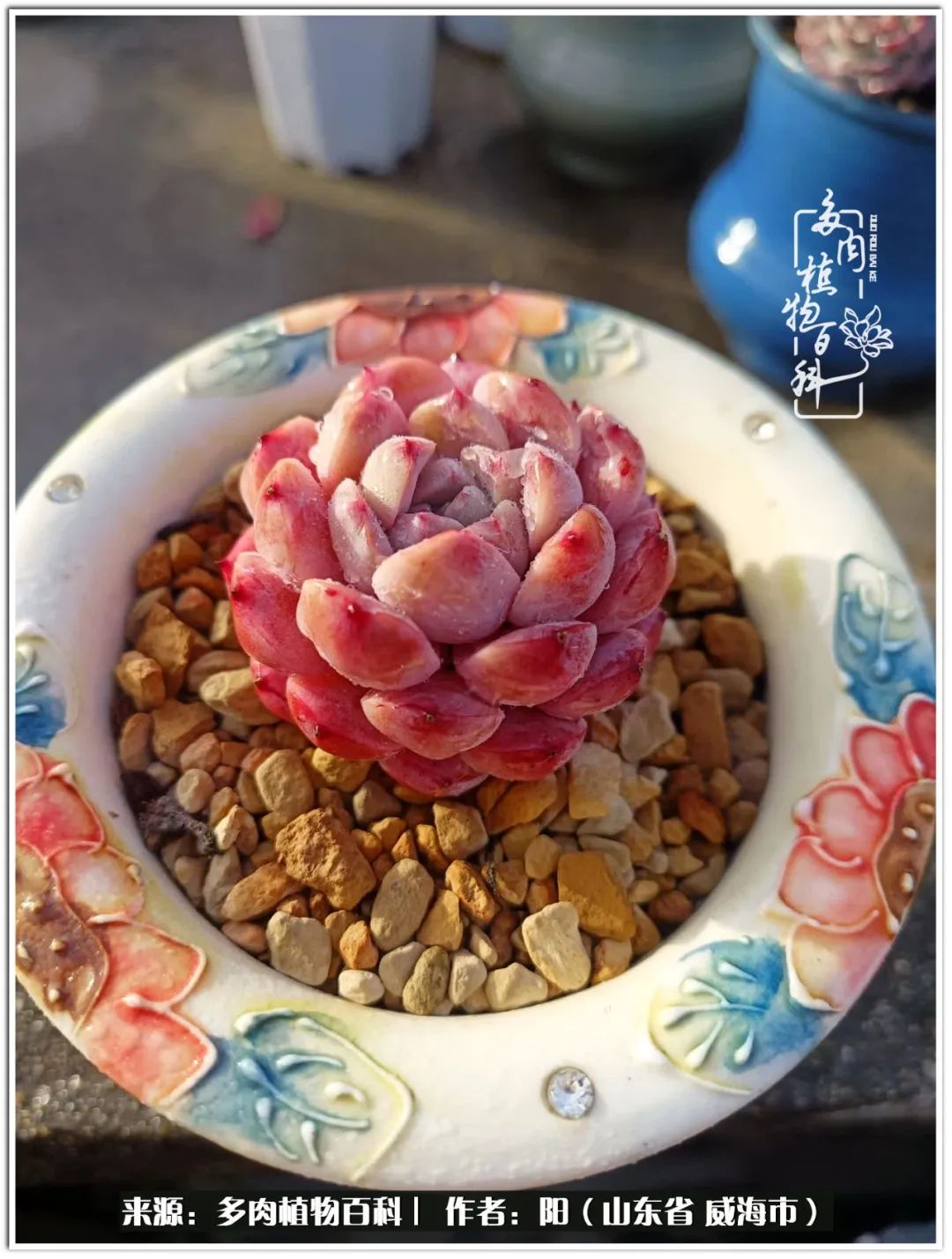 浜洪棿鐑熺伀鑷湁涓囧崈棰滆壊,浜洪棿鐑熺伀鐨嗘槸骞冲嚒棰滆壊